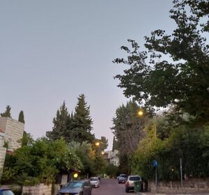מבט רחב על רחוב כספי היוקרתי בירושלים, רחוב מגוריו של המיליארדר סיימון פאליק