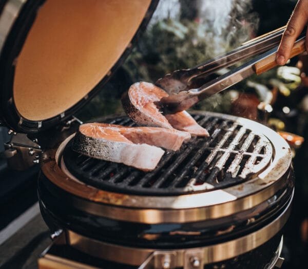 Barbecue Kamado sur chariot Ø 33cm - Junior 2.0 MONOLITH – Image 7
