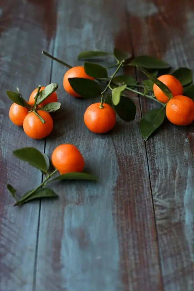 Lazy Mary's Citrus Tart