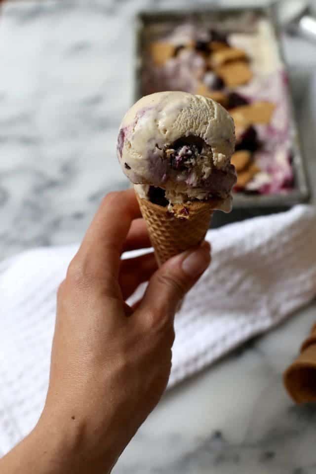 Blueberry Cheesecake Ice Cream