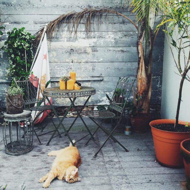 Let It Be Sunday!