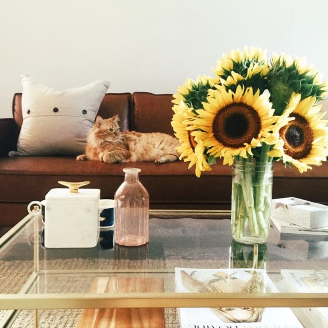Let It Be Sunday!
