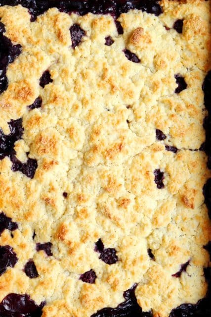 baked blueberry cobbler in pan