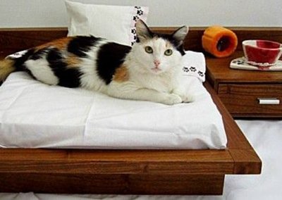 Berbagai Model Tempat Tidur Yang Mungkin Anda Inginkan, Check it Out..!