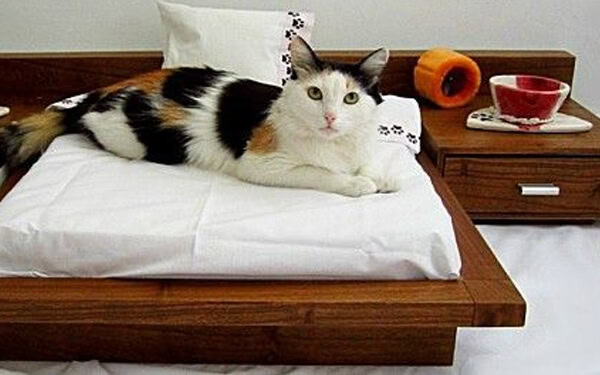 model tempat tidur