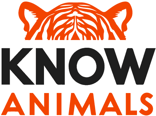 Tiger head graphic with the words "KNOW ANIMALS" below it.