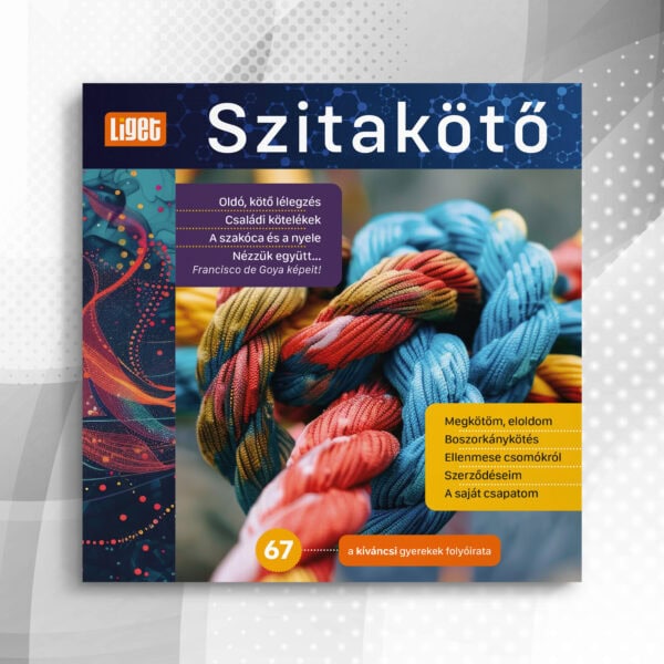 Szitakötő 2024-67