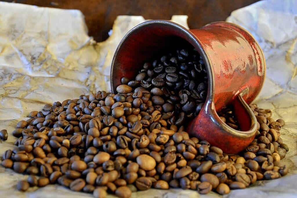 perbedaan kopi robusta dan arabika