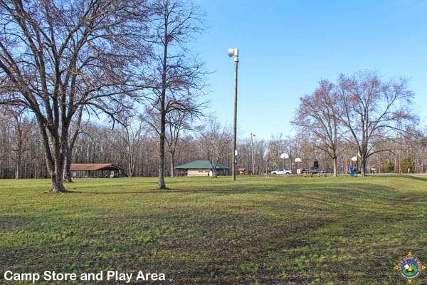 activities at Piney Campground
