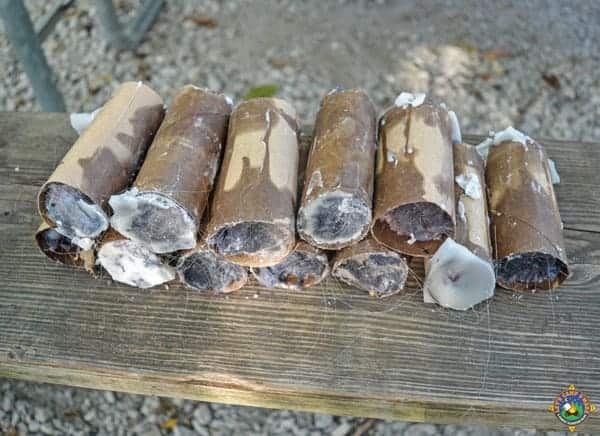 a pile of fire starters made with toilet paper rolls