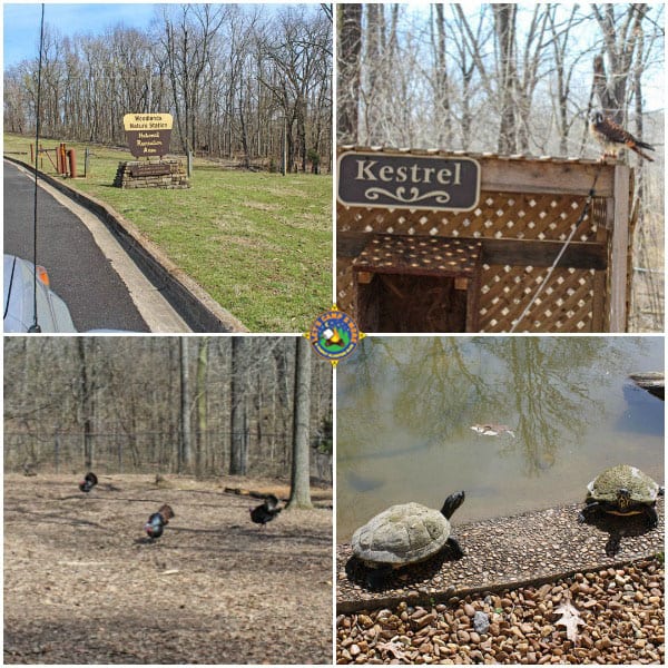 4 images from the Woodlands Nature Station
