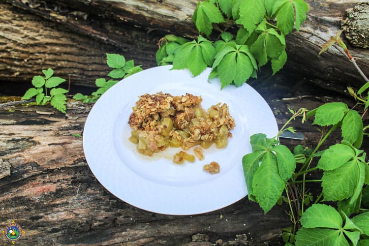 Rhubarb Crunch Recipe