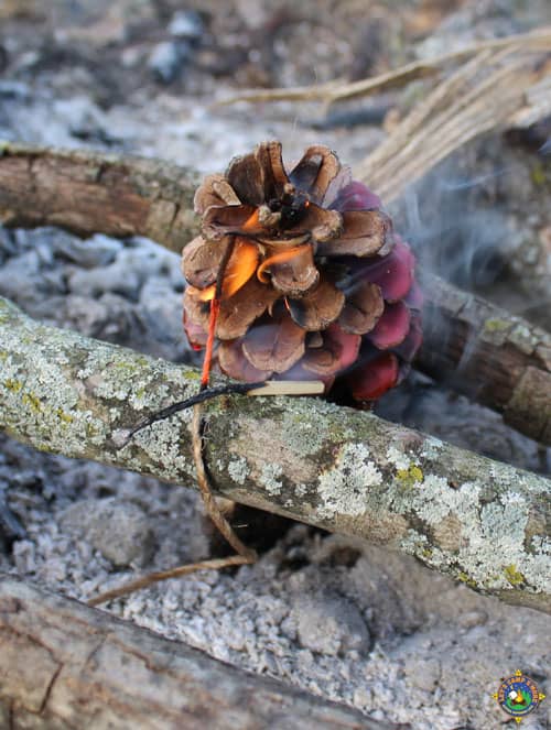 a pinecone fire starter being lit