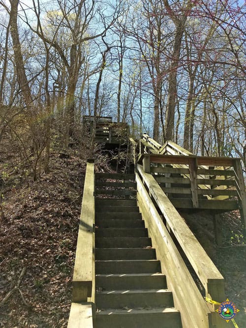 Stairs to Eagles Nest Overlook at Fox Ridge State Park