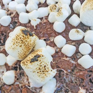 Roasted Marshmallows on S'mores Dessert