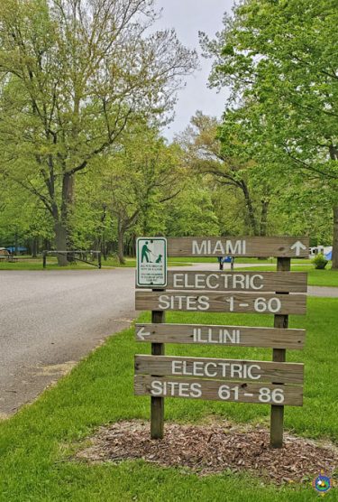 Campground Loops at Kickapoo State Park in Illinois