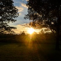 sunset