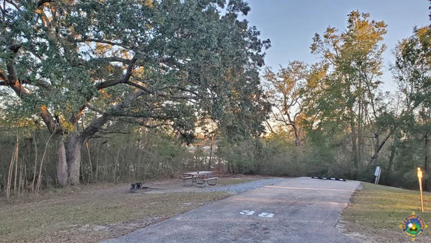campsite 38 at Davis Bayou Campground