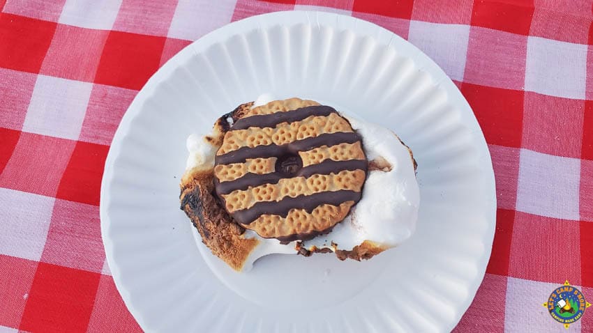 a s'more made with a fudge striped cookie