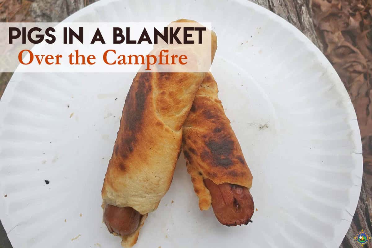 Camping Hot Dogs Wrapped with Rolls