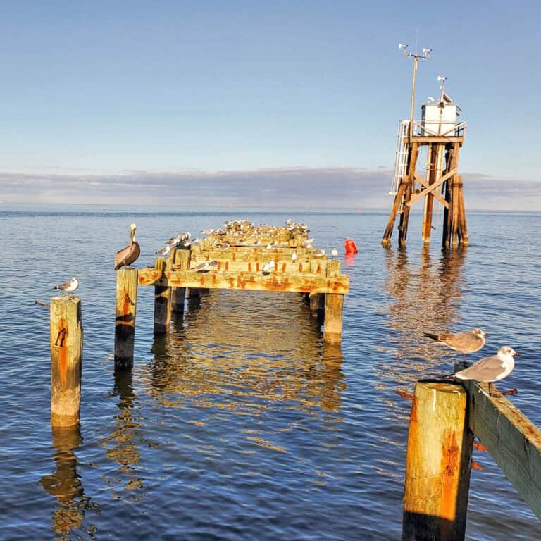 hurricane damaged pier in Alabama