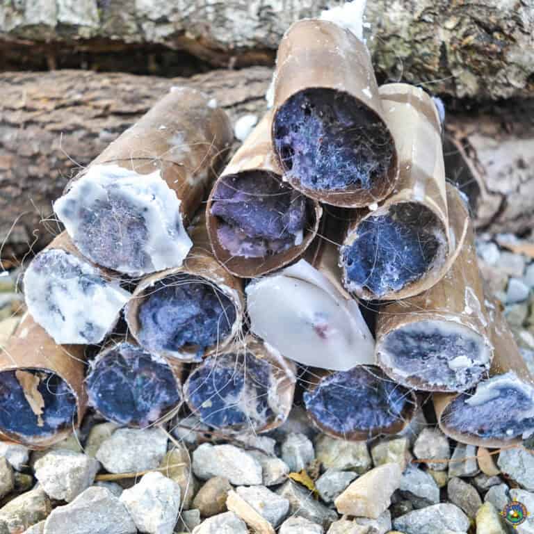 stack of homemade fire starters from toilet paper rolls
