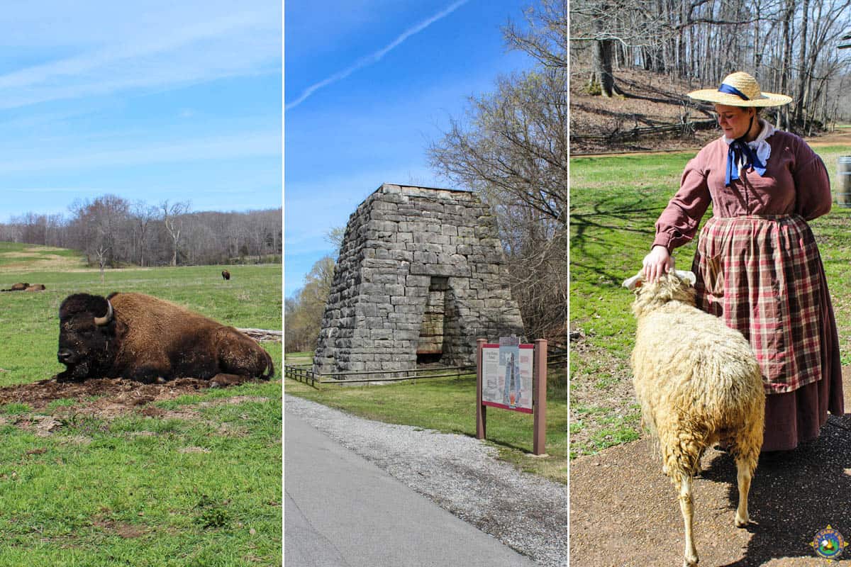 images from Land Between The Lakes