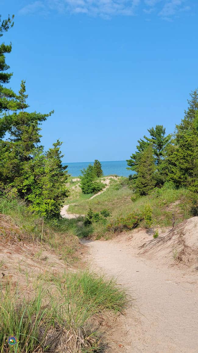 Path through the dunes to the beach at Pinery Provincial Park