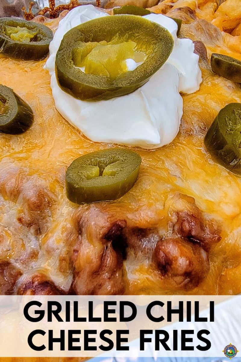 close up of chili cheese fries in a pan