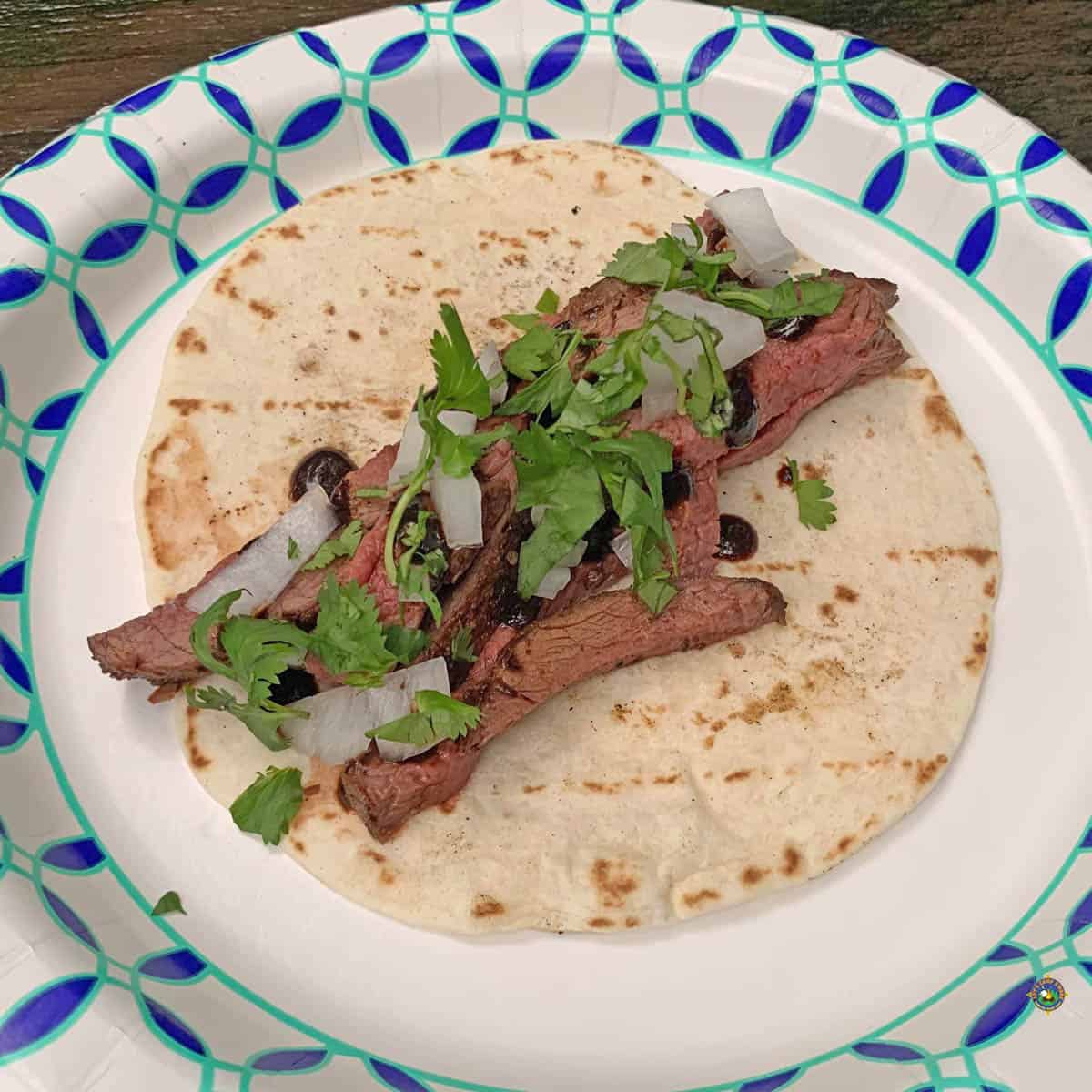 Venison Soft Taco on a paper plate