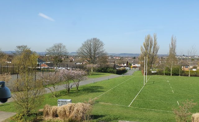 Website - Amington