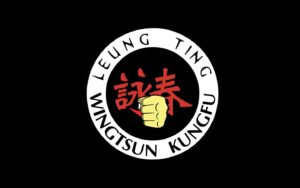 kungfu web