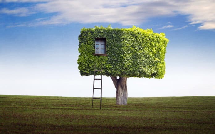 Treehouse, tree house