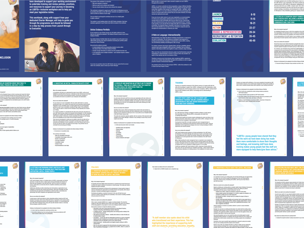 A collection of informational leaflets and documents with text in colourful sections, headers, and lists. The layout features tables of contents, with some sections highlighted in blue, green, and yellow.