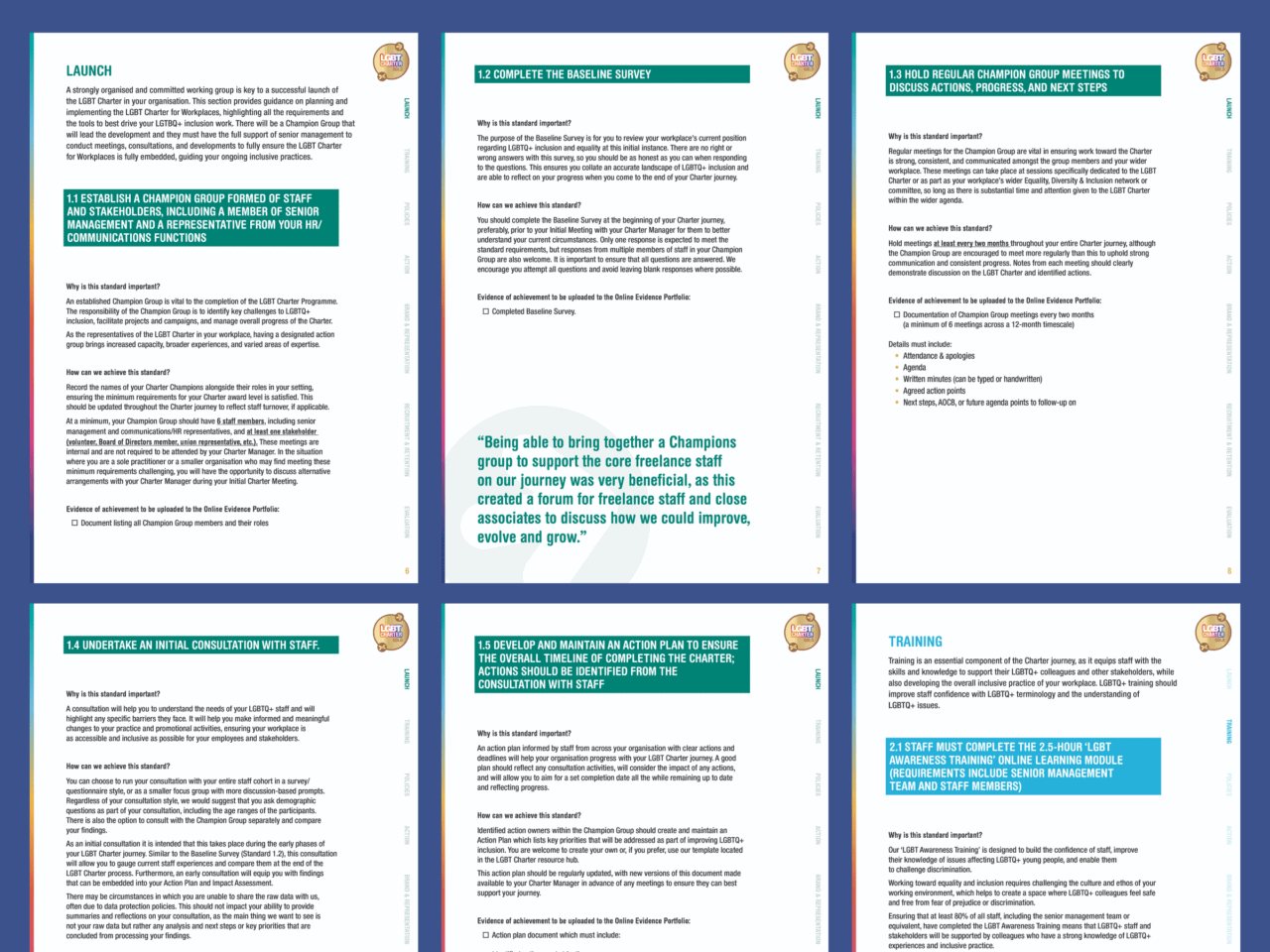 Image depicting a six-panel instructional layout for a communication initiative. Each panel outlines steps like launching, completing baseline surveys, organising meetings, and training. Text features quotes and detailed action plans for each step of the process.