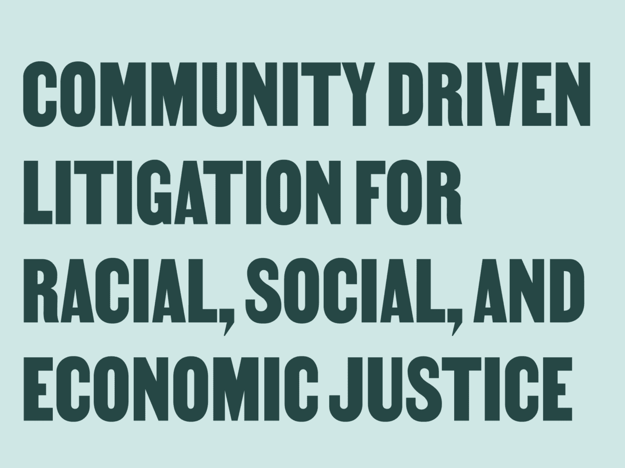 Bold text on a light blue background states: COMMUNITY DRIVEN LITIGATION FOR RACIAL, SOCIAL, AND ECONOMIC JUSTICE.
