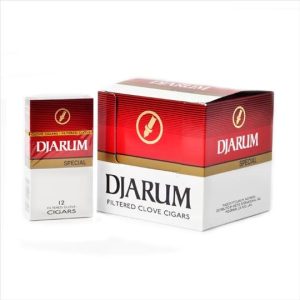 DJARUM SPECIAL 10CT