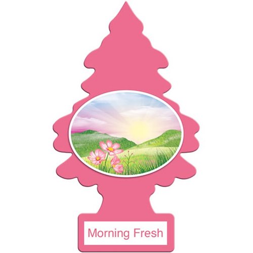 AIR FRESHNER MORNING FRESH  24CT