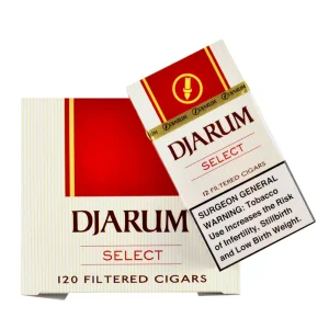 DJARUM SELECT 10CT
