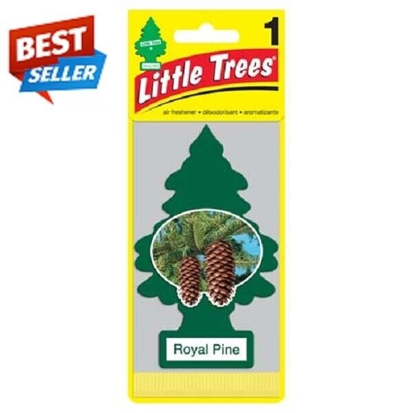 AIR FRESHNER ROYAL PINE 24CT
