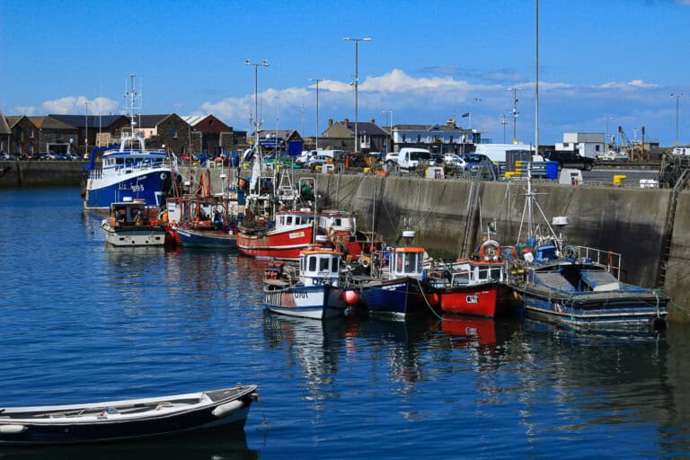The photo shows a bustling harbor scene with a variety of boats, including fishing vessels and a larger blue ship, docked against the concrete quay. The boats display vibrant colors and are equipped with fishing gear, indicating their commercial use. In the background, there's a view of a coastal village with houses and buildings, as well as parked cars and infrastructure related to the fishing industry. The water is calm and reflects the clear blue sky above, suggesting favorable weather conditions. The scene is lively with maritime activity, characteristic of a working fishing port.