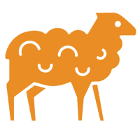favicon 3
