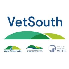 meet-the-need-nz-partners-logo-vet-south-10