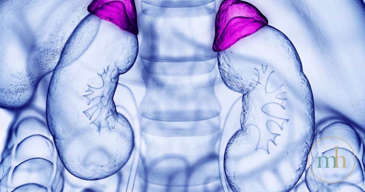 Adrenal glands are part of your kidney system