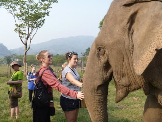 Volunteers at Elephant Nature Park in Thailand