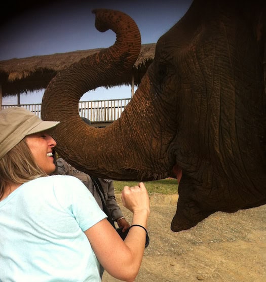 Elephant Nature Park in Thailand