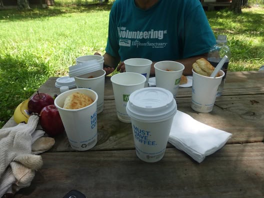 Elephant Sanctuary lunch
