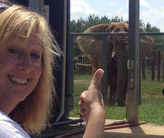 Lois at Elephant Sanctuary