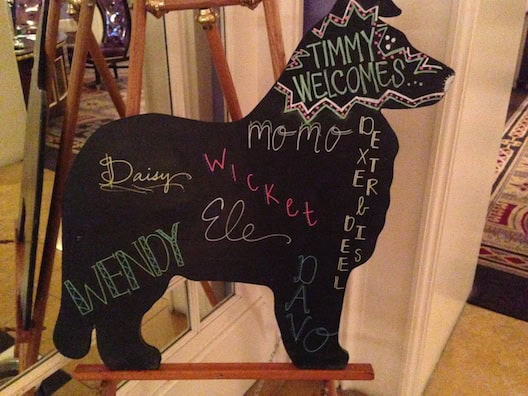 Hotel Monaco dog welcome