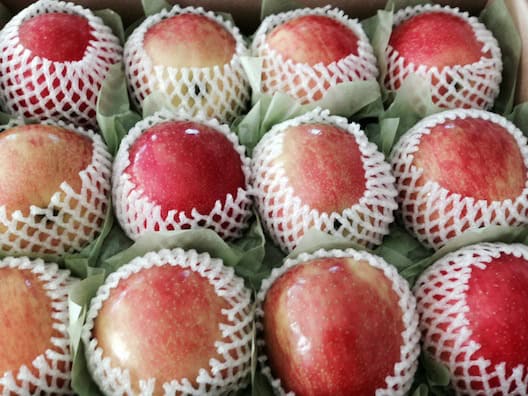The Fruit Company apples